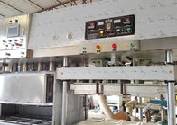 Máquina de fabricación de placa moldeada del papel de pulpa para la cadena de producción de funcionamiento fácil de Ecowares