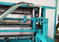 Bandeja rotatoria del huevo de la alta automatización que forma la cadena de producción del cartón de la máquina/del huevo