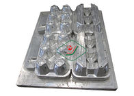 El molde de la pulpa de los asientos del aluminio 12/moldeó los cartones del huevo de la pulpa con proceso del CNC