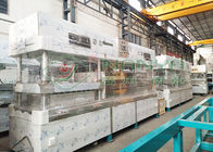 Máquina de fabricación de placa de papel disponible biodegradable semi automática de la celulosa de la máquina de moldear de la celulosa