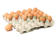 cadena de producción de la bandeja del huevo 100kw