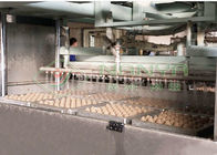 La celulosa 600 m2 acanaló la máquina del cartón del huevo