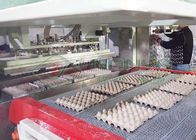 Máquina de Tray Carton Paper Reciprocating Molding del huevo de la granja de pollo