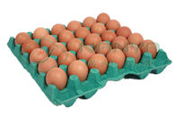El PLC controla la máquina de una sola capa del cartón del huevo 120kg/H