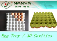 Bandeja disponible moldeada pulpa biodegradable del huevo de los productos con 30 cavidades