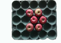 Bandeja moldeada rectangular degradable de la fruta de los productos de la celulosa con 20 cavidades