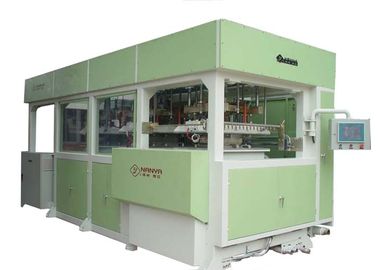 La máquina moldeada auto de la pulpa para la industria de calidad superior empaqueta verde