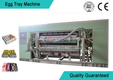 Bandeja de Tray Making Machine For Egg/cartón del huevo/sembrador moldeados completamente autos de la cadena de producción de la taza
