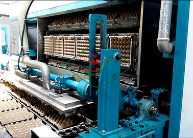 Maquinaria moldeada pulpa automática del moldeado de la cubierta del huevo de la máquina de la bandeja del huevo del papel usado