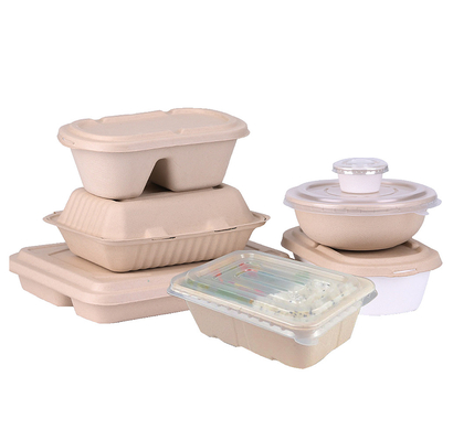 Equipo completamente automático biodegradable del moldeado de la pulpa, control del PLC + de la pantalla táctil