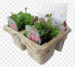 Máquina automática del cartón del huevo de la pulpa para la cadena de producción de la bandeja del huevo/de la bandeja del soporte de vaso/de la fruta