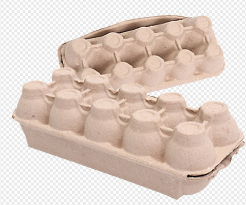Bandeja del huevo del moldeado de la pulpa del papel usado/cartón/máquina de la fabricación de cajas con un cuarto de sequía