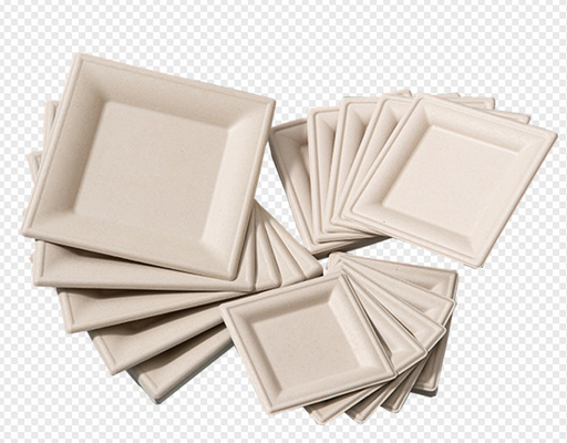 Máquina de fabricación biodegradable automática del equipo/de placa del moldeado de la pulpa del bagazo