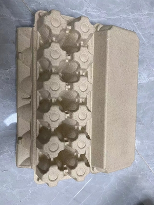 Maquinaria del cartón del huevo de la celulosa/cajón automáticos del huevo que moldean que hace la máquina 1000pcs/h