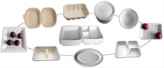 Thermoform se lleva la máquina de fabricación de placa de la caja de la comida 7000Pcs/H