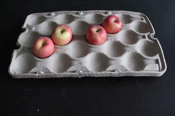 De capacidad media recicle la bandeja de papel del huevo que hace la máquina con el secador