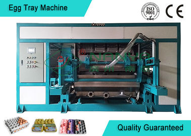 La bandeja rotatoria automatizada potente del huevo/la bandeja de la fruta moldeó la máquina 4000pcs/h