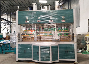 Máquina de Thermoforming de la pulpa de la electrónica/máquina de moldear de la celulosa de la fruta