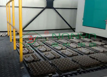 Bandeja de Tray Making Machine For Egg/cartón del huevo/sembrador moldeados completamente autos de la cadena de producción de la taza