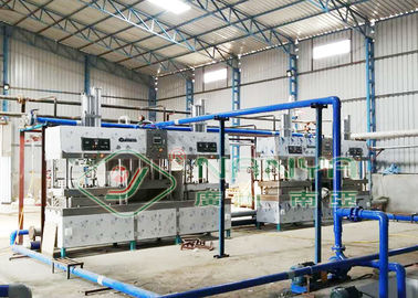 Molde semi automático de papel amistoso Thermoforming de la pulpa de la máquina de fabricación de placa de Eco
