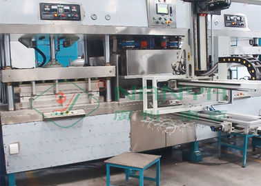 máquina de moldear del cuenco oval de la fiambrera de la celulosa con el robot auto