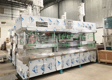 Máquina de moldear de la bandeja del papel de 8 toneladas/día