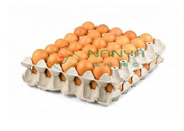 Completamente - cadena de producción auto de la bandeja del huevo línea de sequía de una sola capa 6000Pcs/H
