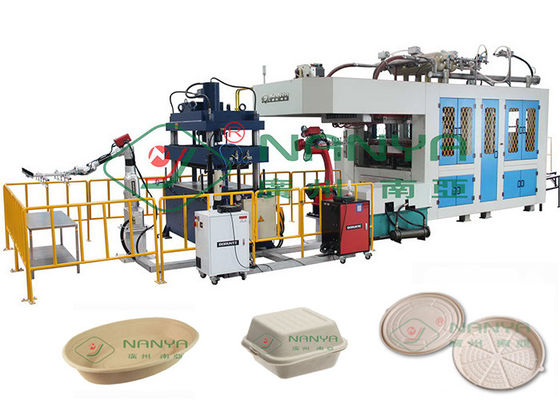 equipo biodegradable 40 Ton Pressure del vajilla del moldeado de la pulpa 300Kg/H