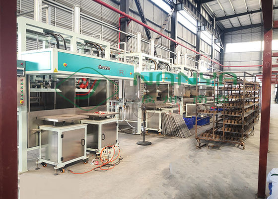 Reduzca el paquete Tray Making Machine industrial de la prueba a pulpa del choque que moldea