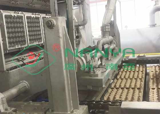 bandeja rotatoria automática del huevo de 6000 pcs/hr/equipo que moldea del cartón de huevos