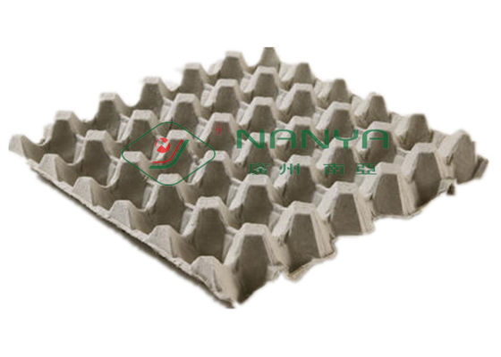 La pulpa moldeó 600m2 el huevo de papel Tray Manufacturing Machine