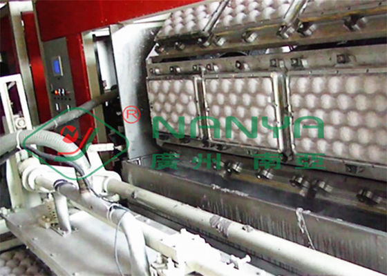las bandejas de la fruta 250kw Eggs la bandeja que hace que la máquina limpia la succión con la aspiradora 600m2