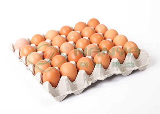Egg rotatorio de papel disponible del equipo del moldeado de la pulpa de la bandeja/del soporte de vaso con CE