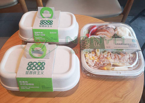 El equipo del moldeado de la pulpa de la placa de papel de Eco para la comida para llevar encajona el CE