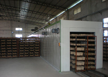 Haga un túnel el tipo cadena de producción de sequía de la máquina de moldear de la celulosa, 220V - 440V
