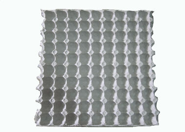 Máquina de moldeo de pulpa para cartón de huevo de codorniz moldeado de papel blanco desechable / bandeja de huevo con 90 cavidades