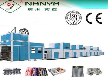 Máquina de moldear de la pulpa completamente automática ahorro de energía, máquina de la fabricación de la bandeja del huevo