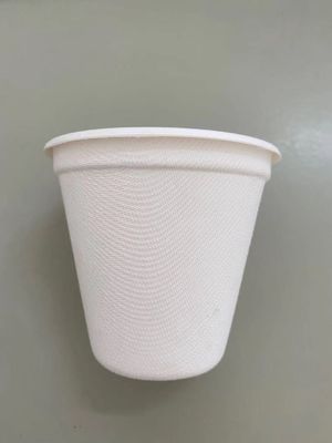 Eficiencia Máquina automática de fabricación de placas de papel de pasta de bambú