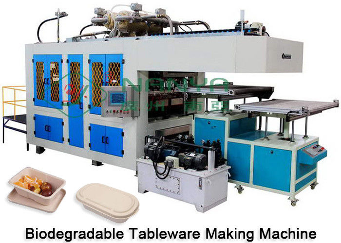 Máquina de fabricación de utensilios de mesa de papel pulpa y corte en molde Certificado CE