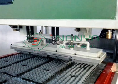 Máquina del cartón del huevo del papel del moldeado de la pulpa, cadena de producción automática de las bandejas del huevo