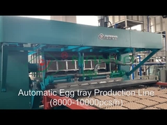 Línea de producción de bandejas de huevos de alto rendimiento (8.000-1000pcs por hora)