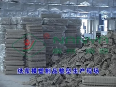 Máquina de prensado en caliente para moldear celulosa