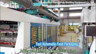 Máquina envasadora de alimentos completamente automática YC042