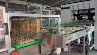 Máquina para fabricar cajas de huevos completamente automática/bandeja para huevos de producción en masa/máquina para fabricar cajas de cartón
