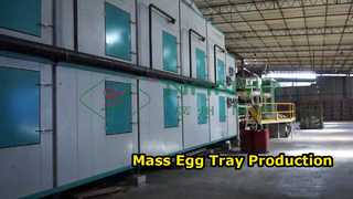 Máquina para fabricar bandejas de huevos completamente automática/bandeja de huevos de producción en masa/máquina para fabricar cajas de cartón