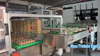 Máquina para fabricar cajas de huevos completamente automática/bandeja para huevos de producción en masa/máquina para fabricar cajas de cartón